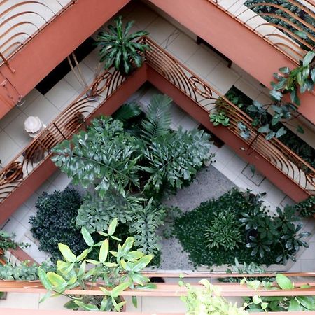 Hotel Martell Сан-Педро-Сула Экстерьер фото